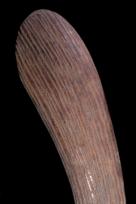 WESTERN DESERT BOOMERANG